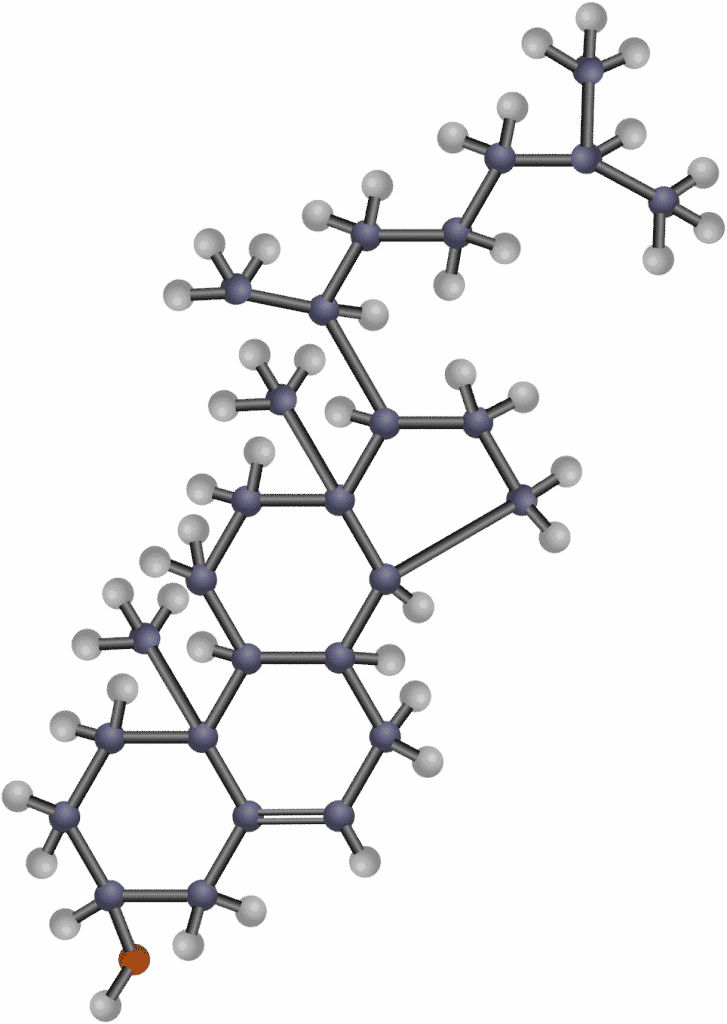 מולקולת-כולסטרול