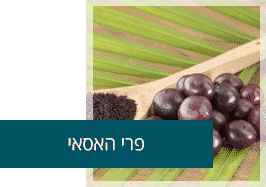 פרי צמח האסאי