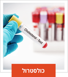 ליקוריץ כולסטרול