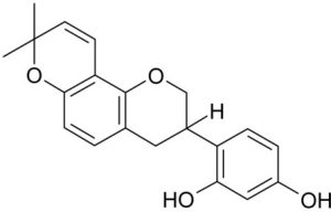 מולקולת גלברידין