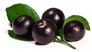 פרי צמח האסאי