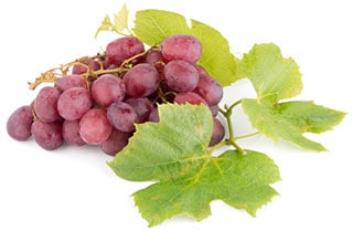 אשכול ענבים